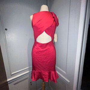 *NEW W. TAGS* Nicole Miller Atelier Pink Cutout Dress (Size 6)